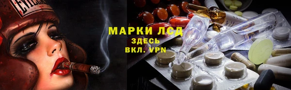 ПСИЛОЦИБИНОВЫЕ ГРИБЫ Лихославль