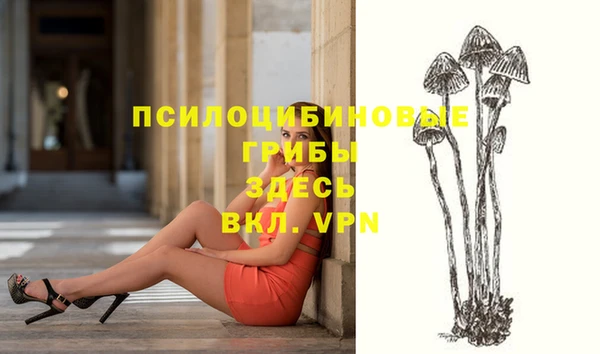 мяу мяу мука Липки