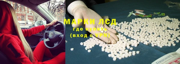 ПСИЛОЦИБИНОВЫЕ ГРИБЫ Лихославль