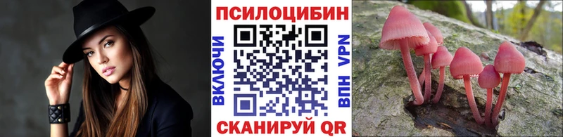 Галлюциногенные грибы мицелий  Купить закладки  Конаково 